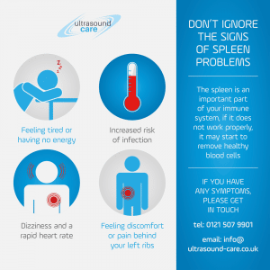 Spleen Problems Birmingham - spleen symptoms infographic