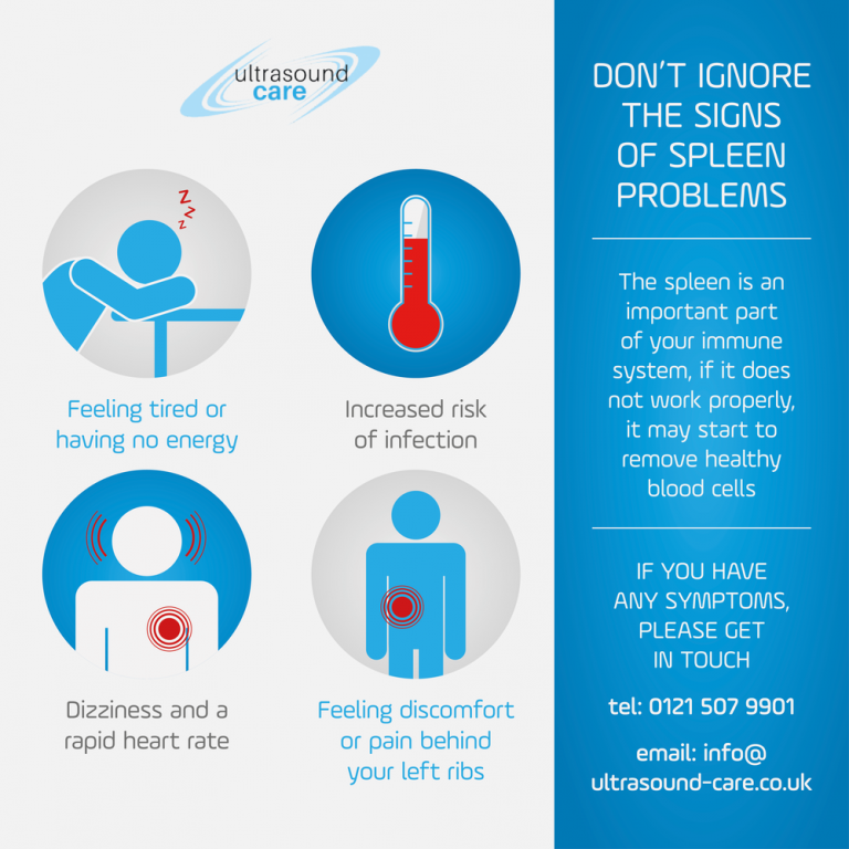 Spleen Problems | Ultrasound Care